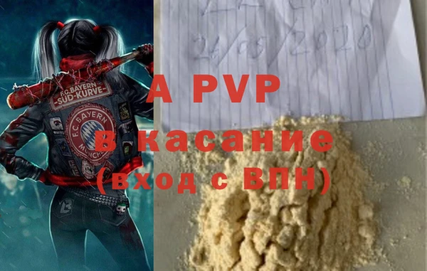 амф Пересвет