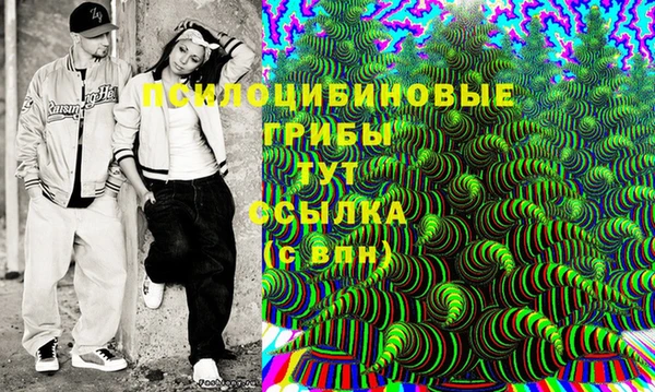 амф Пересвет