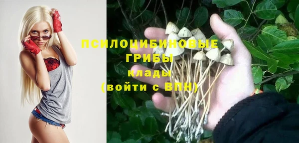 амф Пересвет