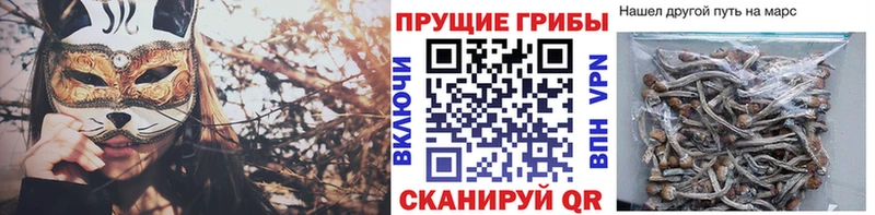 Купить где  Киржач  Псилоцибиновые грибы MAGIC MUSHROOMS 